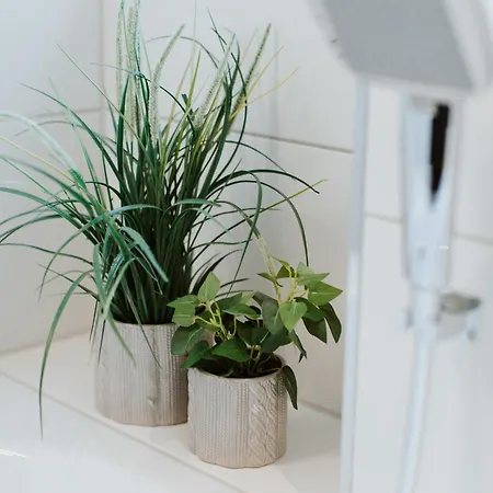 Ostsee - Reetdachhaus Nr 1 